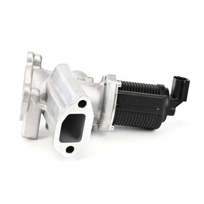 SUPAPA EGR DELPHI EG1064212B1 13