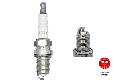 Spark Plug NGK 5860