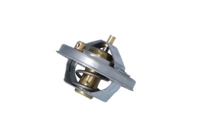 TERMOSTAT LICHID RACIRE NRF 725210 31