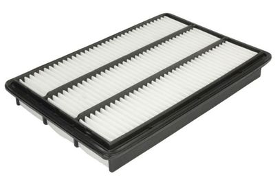 Air Filter B25046PR