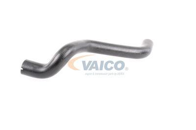 KüHLERSCHLAUCH VAICO V240868 31
