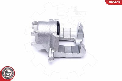 Brake Caliper 46SKV863