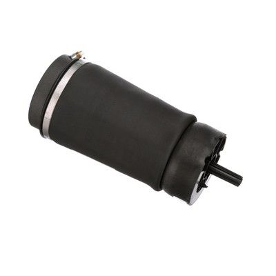 LUFTFEDER FAHRWERK Arnott A2831 66