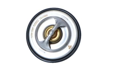 TERMOSTAT LICHID RACIRE NRF 725070 38