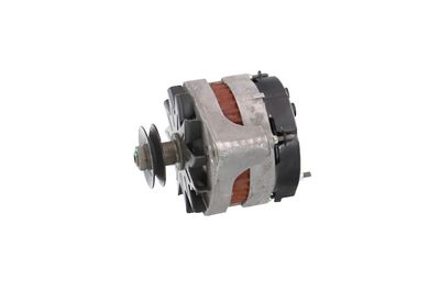 GENERATOR / ALTERNATOR REMANTE 011003000079R 14