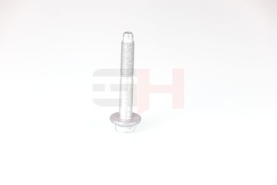 SURUB CAPAT DE AX GH GH392528 24