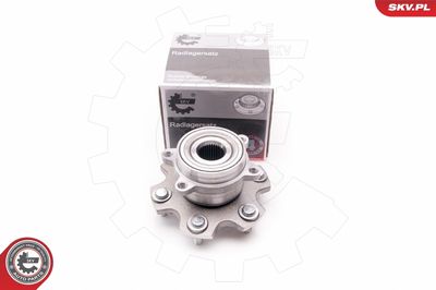 Wheel Bearing Kit 29SKV161