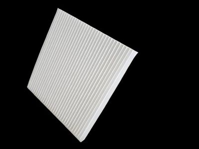 FILTER INNENRAUMLUFT CORTECO 49281513 1