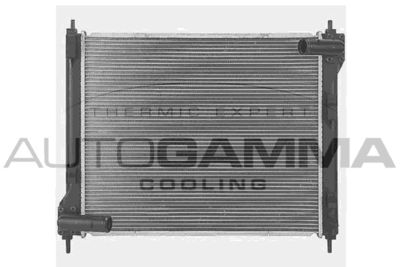 AUTOGAMMA 107635 Крышка радиатора  для NISSAN JUKE (F15) 1.6 DIG-T