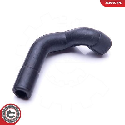 Žarna, karterio alsuoklis