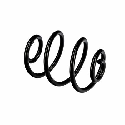 ARC SPIRAL EIBACH R10187 9