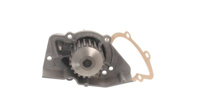 WASSERPUMPE MOTORKüHLUNG SKF VKPC83636 39