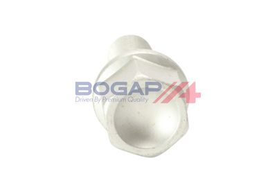 BOLT ROATA BOGAP P3336102 2