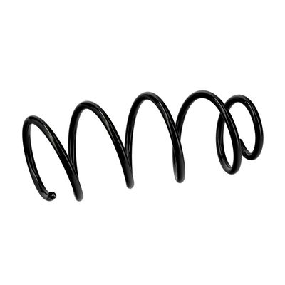 ARC SPIRAL EIBACH R22959 6