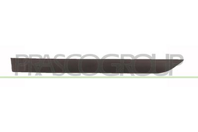 ELEMENTE DECORATIVE/PROTECTIE PORTIERA PRASCO FD4201454