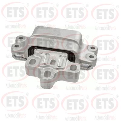 окачване, двигател ETS 31.EM.102