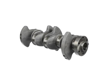 ARBORE COTIT ET ENGINETEAM HK0219 21