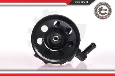 ESEN SKV 10SKV019 Насос гидроусилителя руля  для FORD FOCUS I седан (DFW) 1.8 TDCi