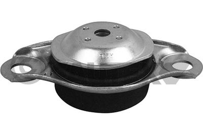 CAUTEX 759098 Подушка двигателя  для FIAT PANDA (Фиат Панда)