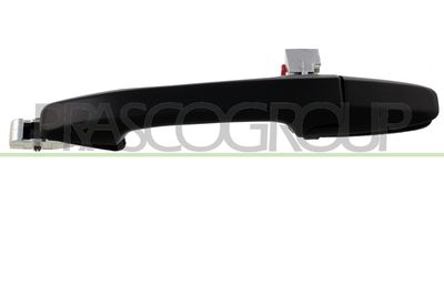 TüRGRIFF PRASCO HD0438104