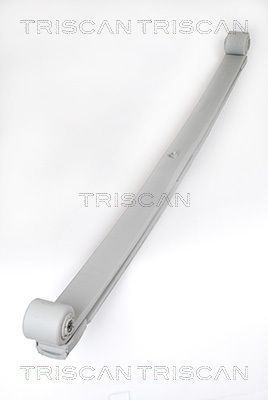 TRISCAN Federnpaket