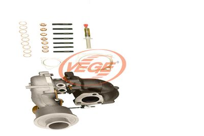 LADER AUFLADUNG VEGE 08711979 4