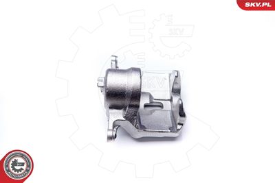 Brake Caliper 23SKV701