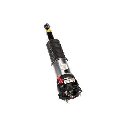 BRAT ARC PNEUMATIC Arnott AS3074 69