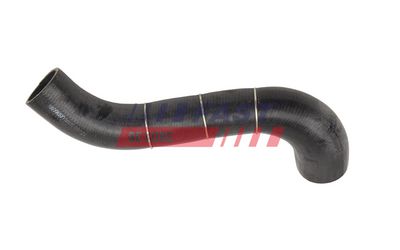 FURTUN EAR SUPRAALIMENTARE