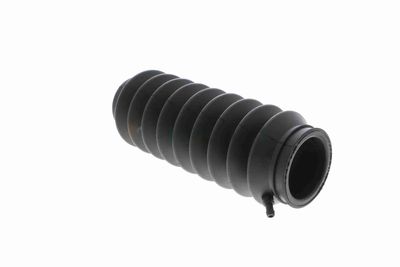 ANSAMBLU BURDUF DIRECTIE ACKOJA A260046 3