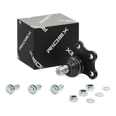 Шарнири RIDEX 2462S0338