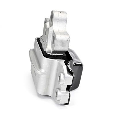 LAGERUNG MOTOR DELPHI TEM256 19