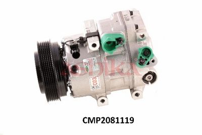 CMP2081119
