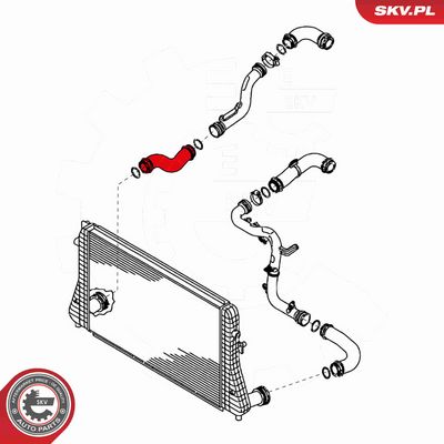 FURTUN EAR SUPRAALIMENTARE ESEN SKV 24SKV614 3
