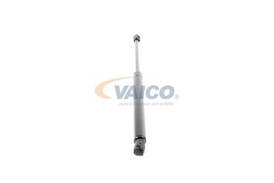 AMORTIZOR PORTBAGAJ VAICO V101953 49