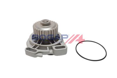 POMPă DE APă RăCIRE MOTOR BOGAP A4234164