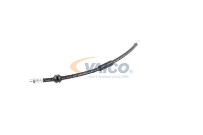 FURTUN FRANA VAICO V201908 30