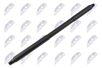 Dujinė spyruoklė, gaubtas