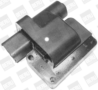 BorgWarner (BERU) Zündspule