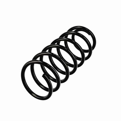 ARC SPIRAL EIBACH R10971 3