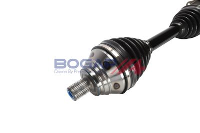 PLANETARA BOGAP A3710305 2