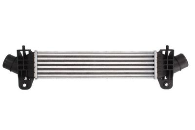 INTERCOOLER COMPRESOR THERMOTEC DAG009TT 1