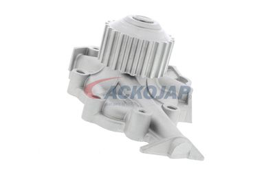 POMPă DE APă RăCIRE MOTOR ACKOJA A510700 46
