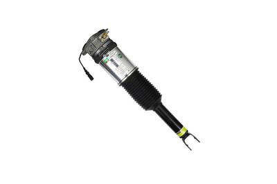 LUFTFEDERBEIN Arnott AS2958 67