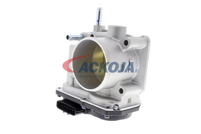 CARCASA CLAPETA ACKOJA A70810010 18