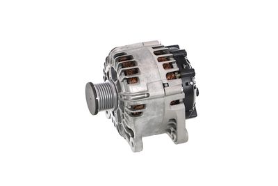 GENERATOR / ALTERNATOR REMANTE 011003000865R 12