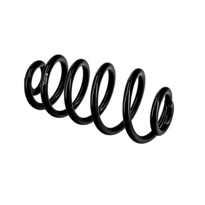 ARC SPIRAL EIBACH R10114 9