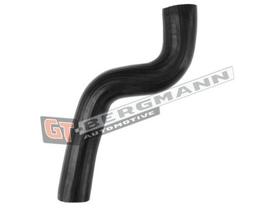 GT-BERGMANN Automotive - Hadica plniaceho vzduchu (hadica turba) IVECO , GT52-528
