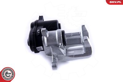 Brake Caliper 55SKV583