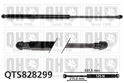 Газовая пружина, заднее стекло QUINTON HAZELL QTS828299 для CITROËN C4